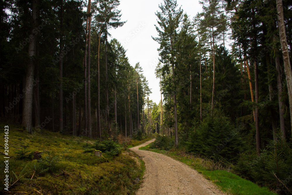 Obraz premium nature