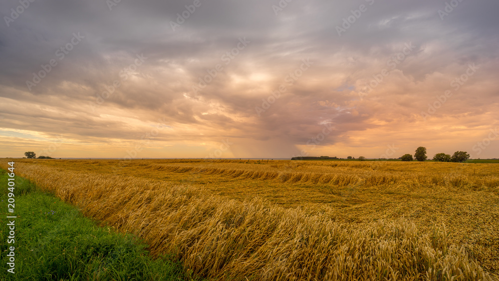 Regenwolke über dem Stettiner Haff