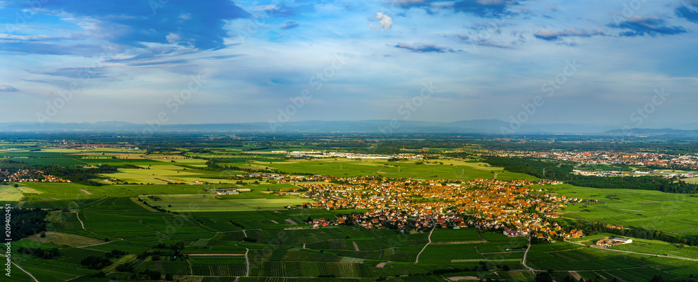 Wide aerial high resolution panoramic view of sunset over the green valley of vineyards, Alsace