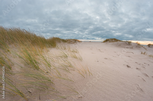 Sandy beach of the Baltic sea.