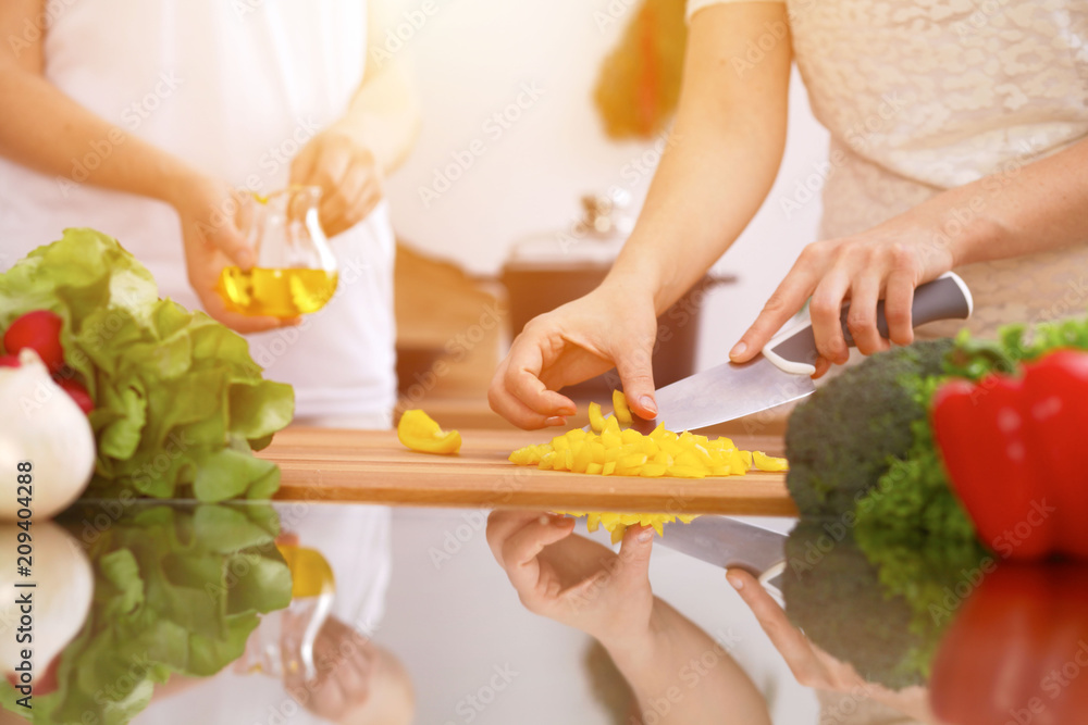 Closeup of human hands cooking in kitchen. Mother and daughter or two female friends cutting vegetables for fresh salad. Healthy meal, vegetarian food and lifestyle concepts Closeup of human hands cooking in kitchen. Mother and daughter or two female friends cutting vegetables for fresh salad. Healthy meal, vegetarian food and lifestyle concepts