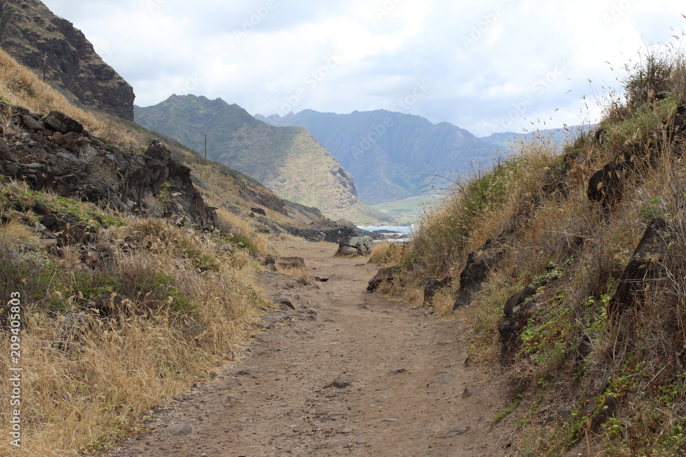 Paysage côtier à Hawaii