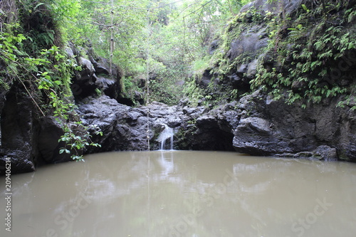 Bassin d'eau à Hawaii photo