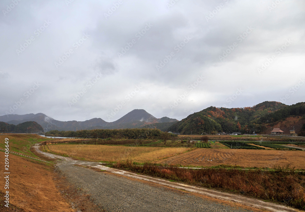 Fall color rice fields in the Japanese countryside Fall color rice fields in the Japanese countryside