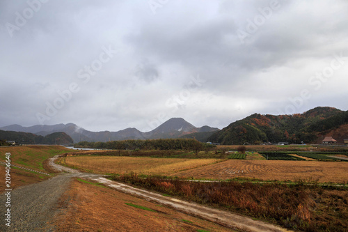 Gravel roads leading through dry autumn farmland in rural Japan