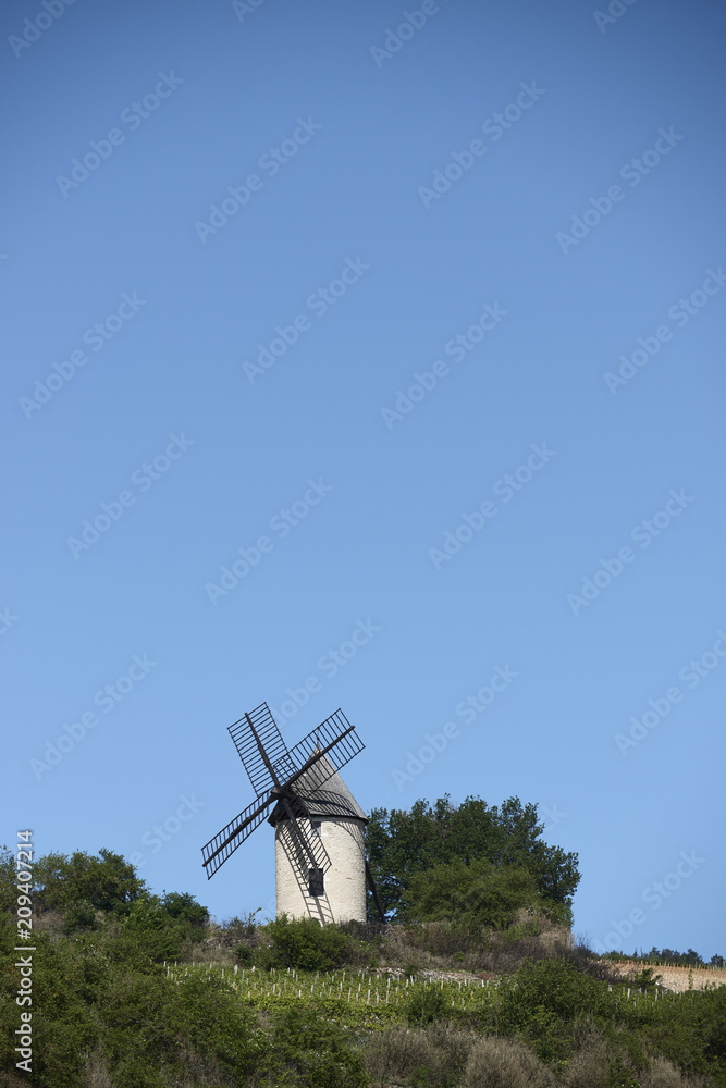 Fototapeta premium burgund 12