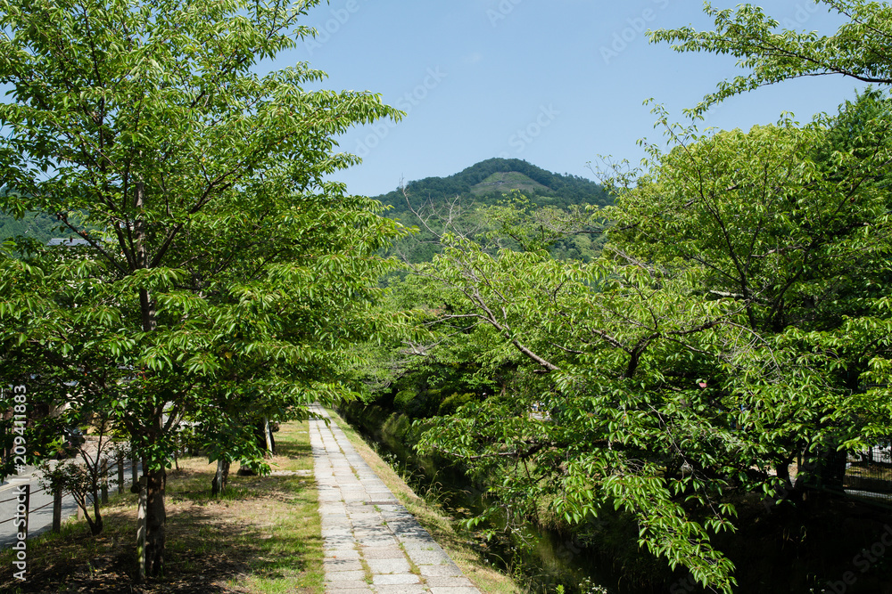 大文字山と新緑の疎水　銀閣寺道付近（京都・日本）