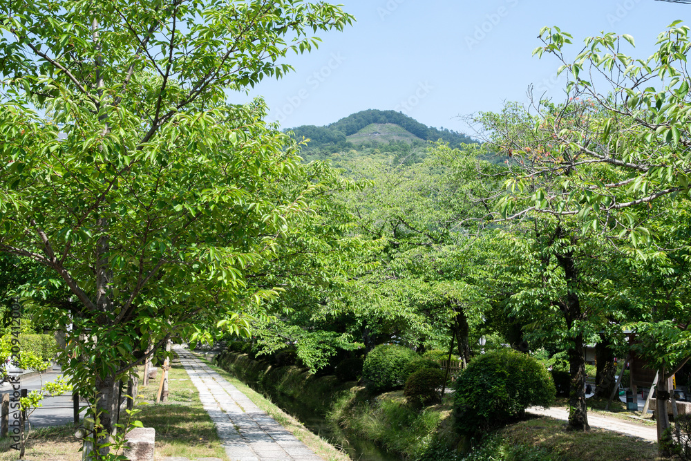 大文字山と新緑の疎水　銀閣寺道付近（京都・日本）