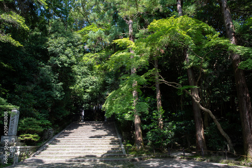 新緑の法然院（京都・日本）