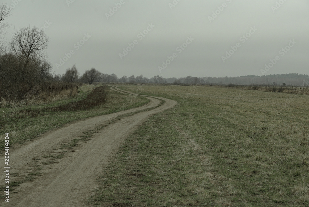 A country road in autumn, spring, mown grass and trees in the distance - vintage retro look.