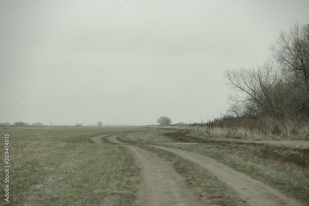 A country road in autumn, spring, mown grass and trees in the distance - vintage retro look.