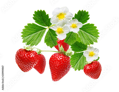 freshness ripe srawberries on white background