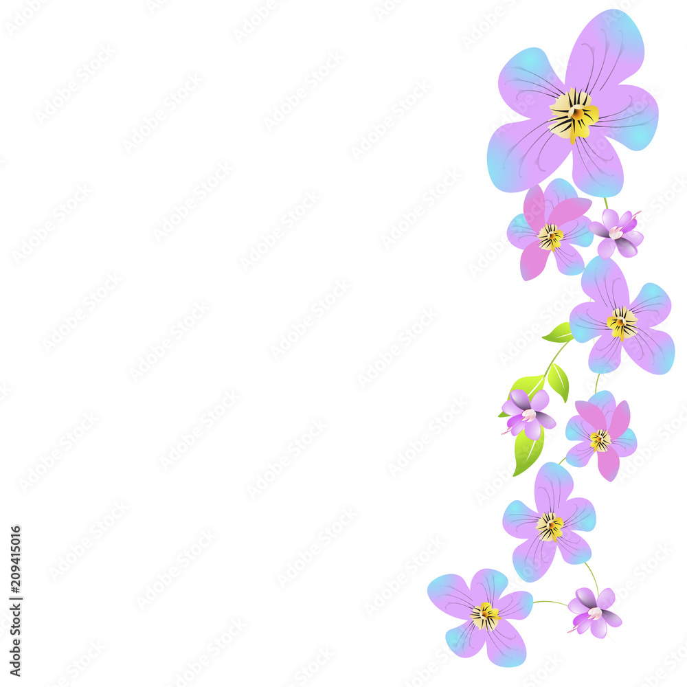 beautiful flowers beautiful flowers