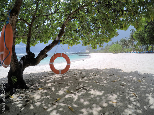 Life rings hanging on tree on beach on Upolu Island, Samoa, South Pacific photo