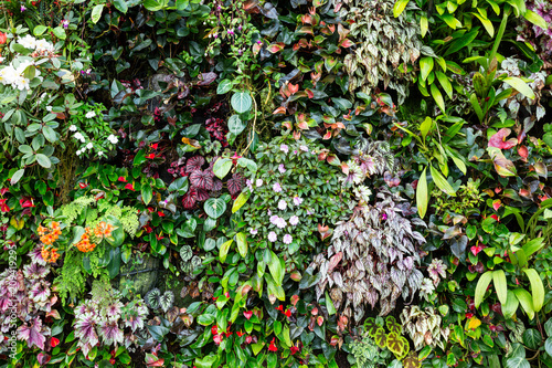 Vertical garden of colouful leafy tropical plants in Singapore