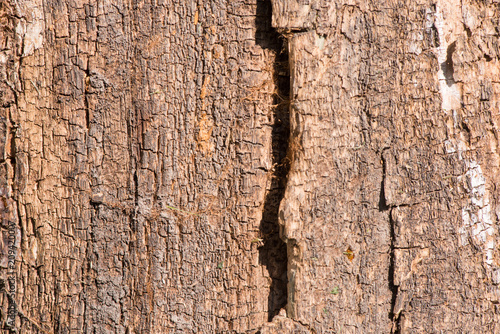 wooden boards