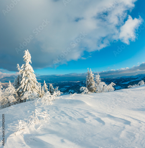 Wallpaper Mural Winter mountain snowy landscape Torontodigital.ca
