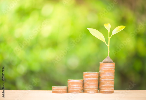 Plant growing up on the growing coin stack with warm light and nature background for financial growing concept