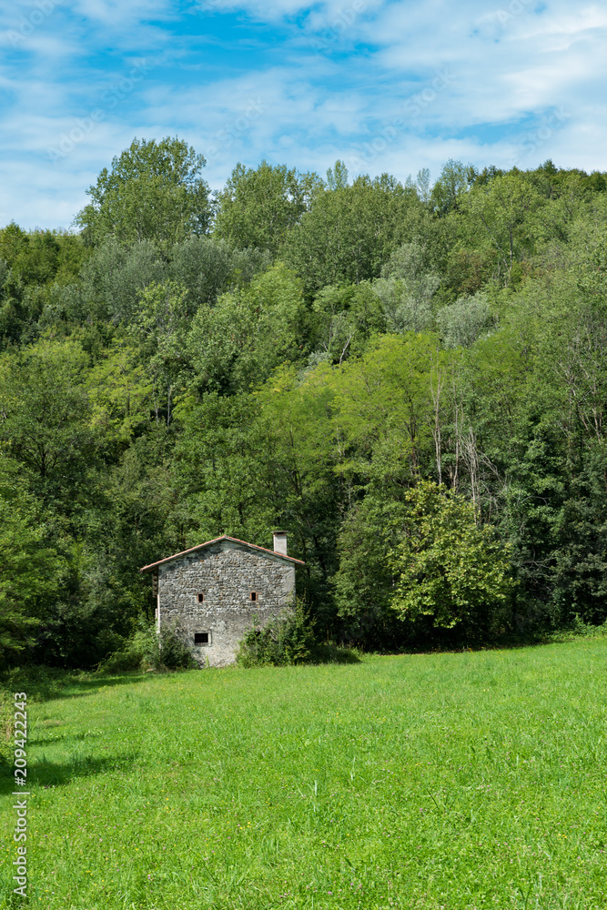 Fototapeta premium Stone house in the meadow