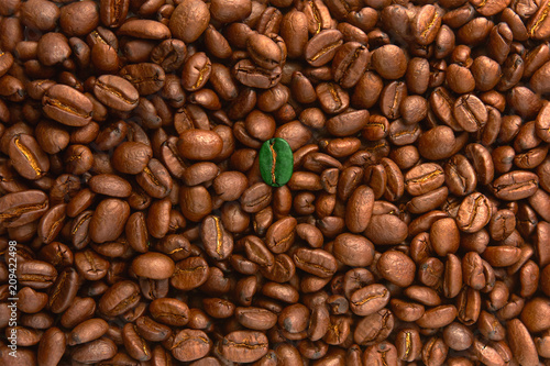 Green coffee beans among brown coffee