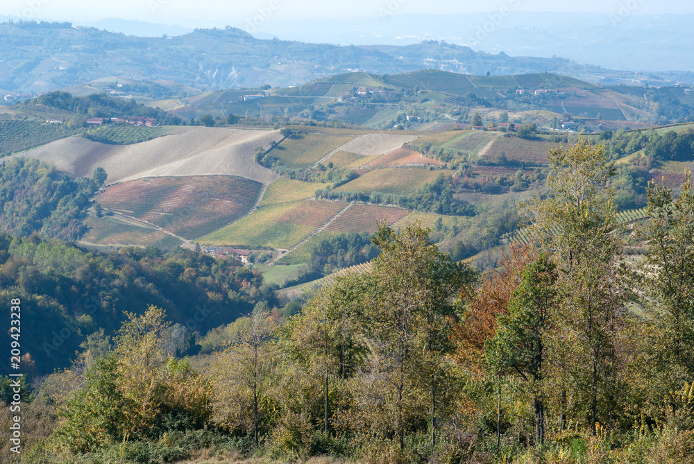 Fototapeta premium Rural landscape in Langhe, Piedmont, Italy