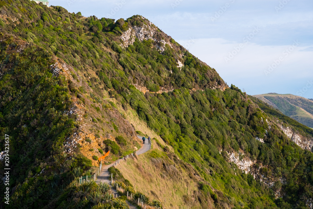 Nugget Point, Rocks cliffs, and beautiful ocean. A path to Lighthouse. The Catlins, New Zealand.