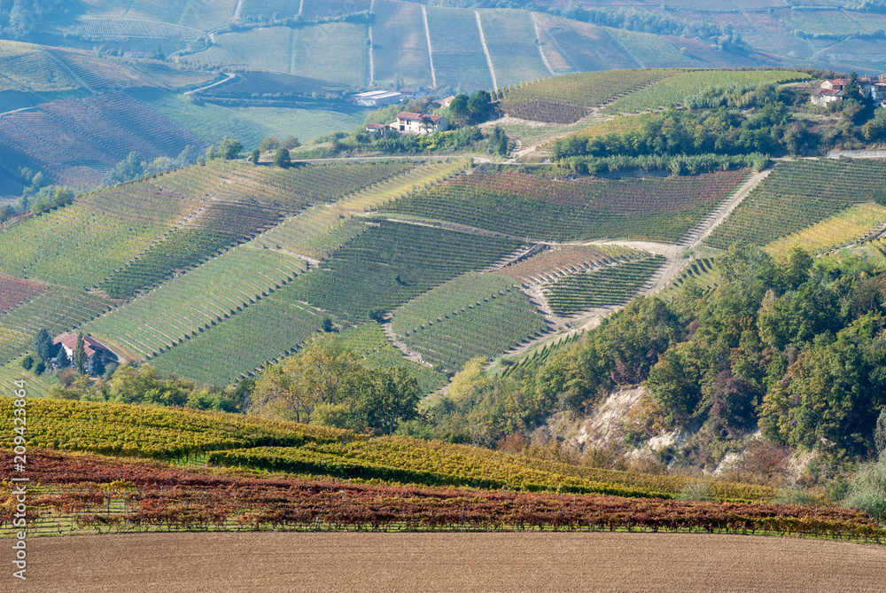 Rural landscape in Langhe, Piedmont, Italy