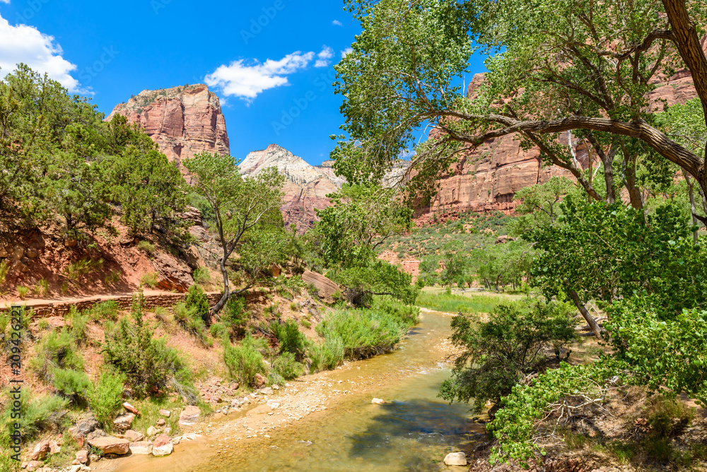 River in the Canyon of the Zion National Park - Travel destination for Outdoor in Utah, USA