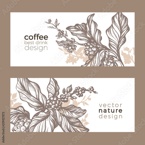 Vector sketch of coffee branch. Template
