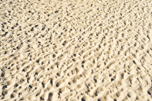 sand on the beach as texture or background