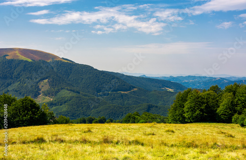 grassy meadow on top of a hill. beautiful summer landscape with high mountain in the distance