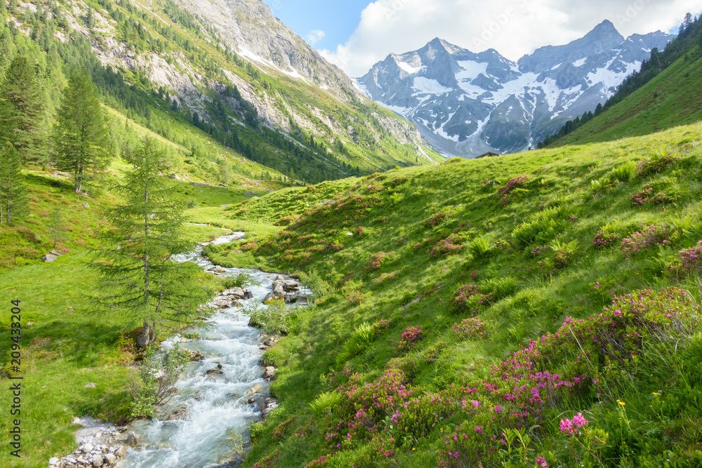 Wildbach vom Gletscher in den österreichischen Bergen Wildbach vom Gletscher in den österreichischen Bergen