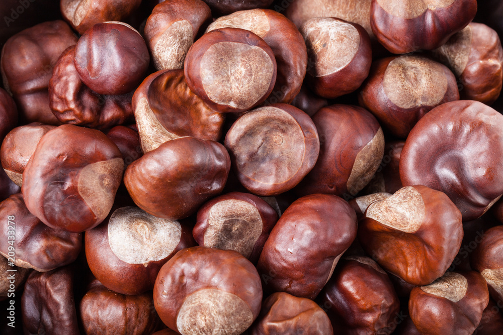 Lot of chestnuts for background Lot of chestnuts for background