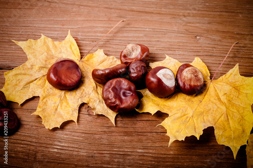 Chestnuts and autumn leaves on a old wooden table. Toned