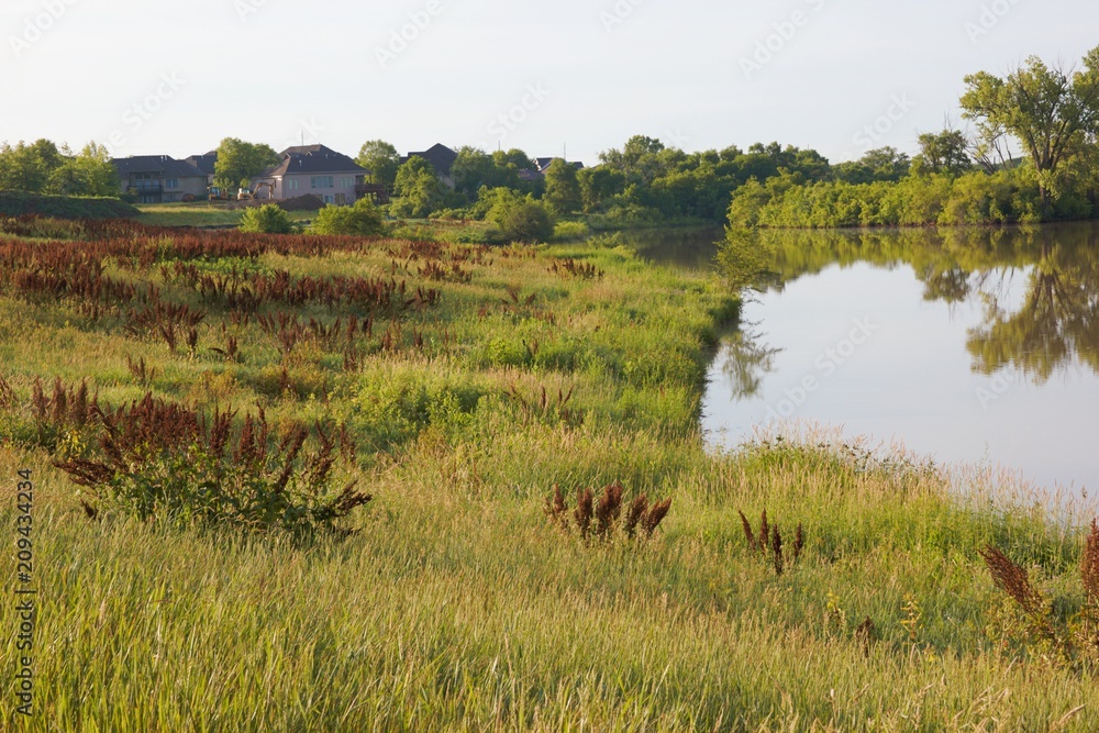 Small Lake reflection with grass shore area