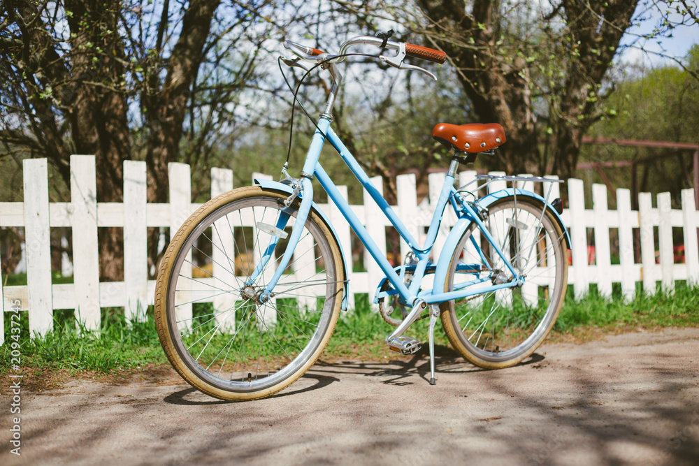 Transport for summer. Rent a bicycle. Blue vintage bicycle stands in the park among the trees in the sun