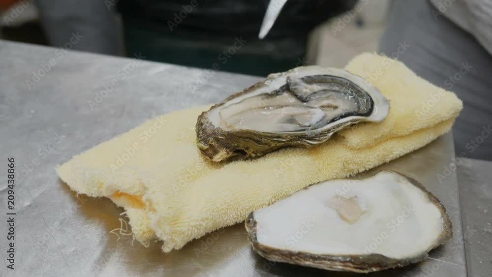 CLOSE FOOD The chef opens the oysters macro photography, the oyster