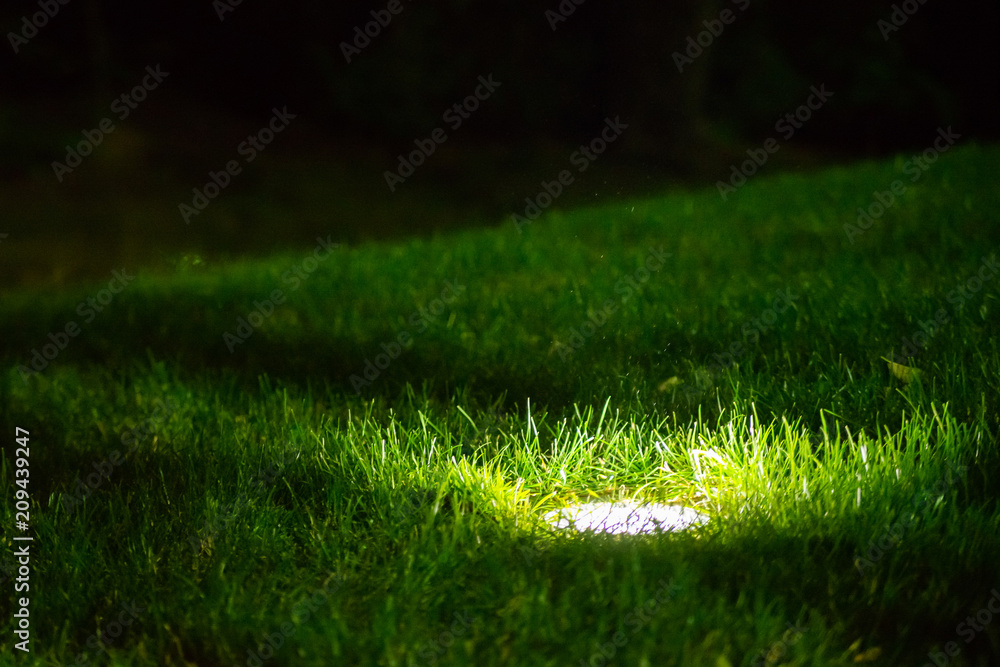 Decorative Garden Light in ground built-in, Lanterns In Flower Bed In Green Foliage. Garden Design