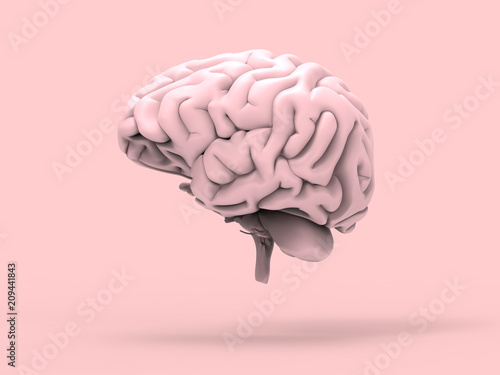 Human Brain Pastel 3D Render 