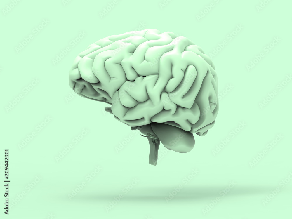 Human Brain Pastel 3D Render Human Brain Pastel 3D Render