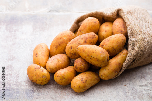 Obraz na płótnie A bio russet potato wooden vintage background.