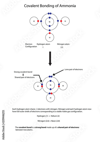 Diagram to illustrate covalent bonding in amonia with a fully labelled diagram.