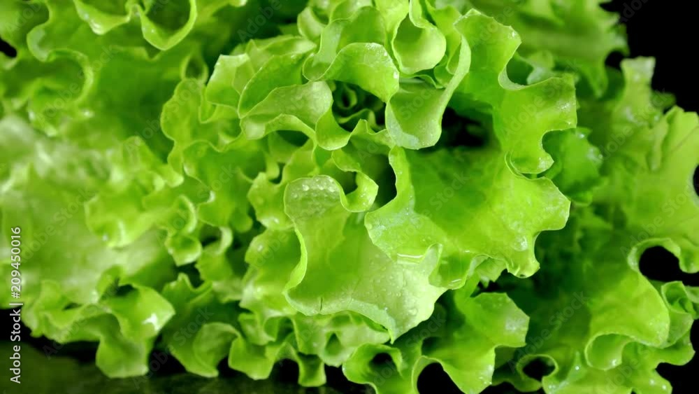 Leafy green salad are on the table. On black background. Leafy green salad are on the table. On black background.