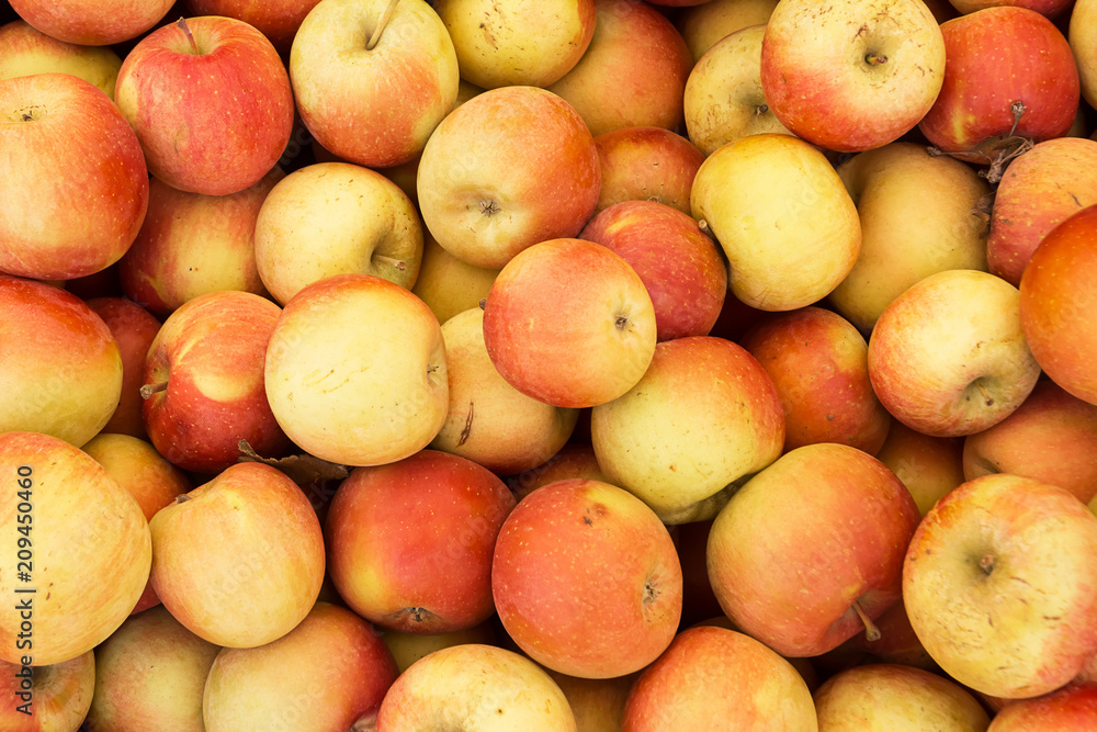 Pile of Fuji apples for sale at the market Pile of Fuji apples for sale at the market