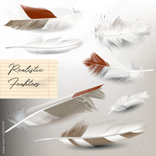 Set of elegant  vector light realistic feathers