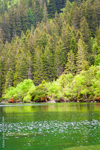 A green lake that reflects spring trees covered with leaves in mountain.