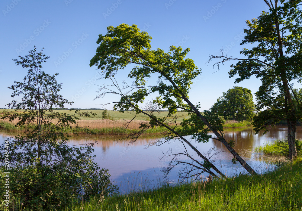Obraz premium View over lake.