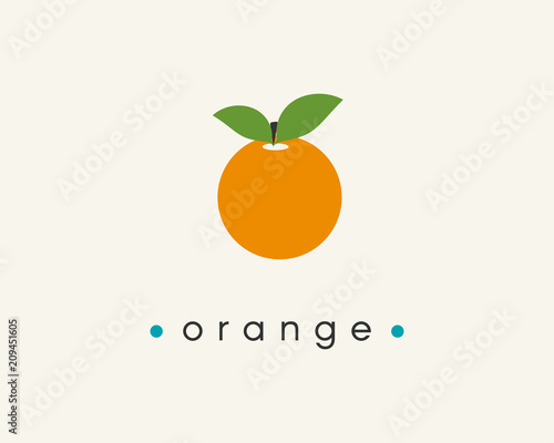 Flat colorful orange icon