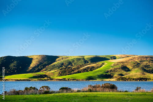 Beautiful nature scene. A green grassland trees and river.