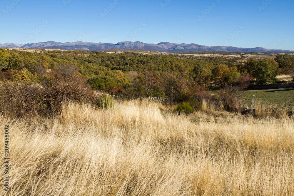 Vista  de Paisaje Otoñal con pueblo y montañas al fondo